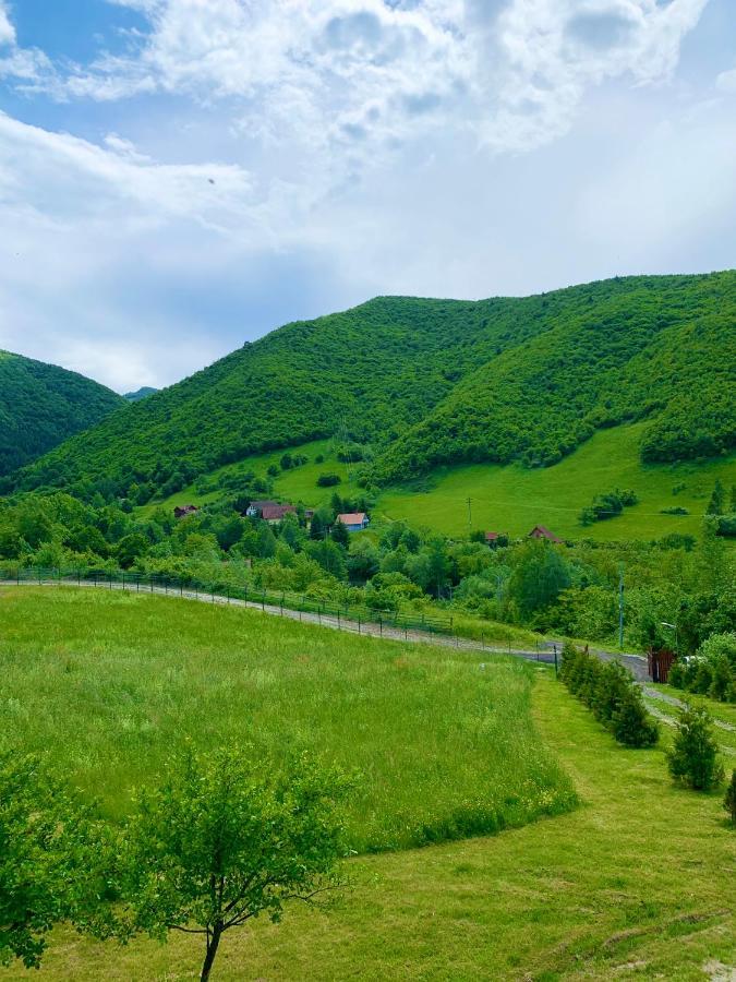 Rustic Cottage Sibiu Exteriér fotografie